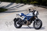 Todas las piezas originales y de repuesto para su Ducati Scrambler Cafe Racer Thailand 803 2019.